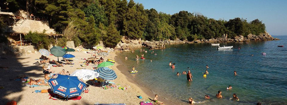 Parcele u dubokoj hladovini borove šume u kampu Ponta blizu Orebića